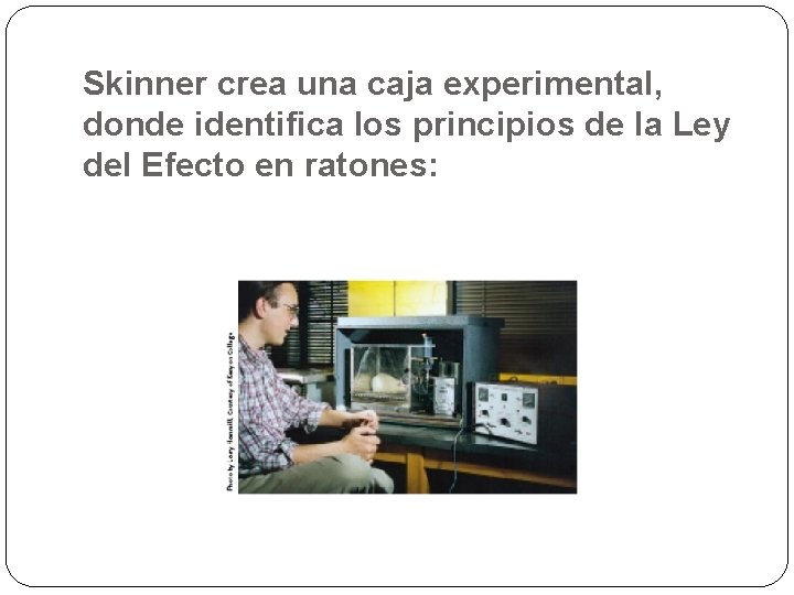 Skinner crea una caja experimental, donde identifica los principios de la Ley del Efecto Skinner crea una caja experimental, donde identifica los principios de la Ley del Efecto