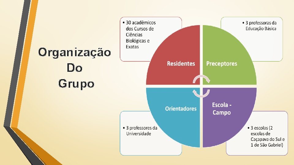 Organização Do Grupo 