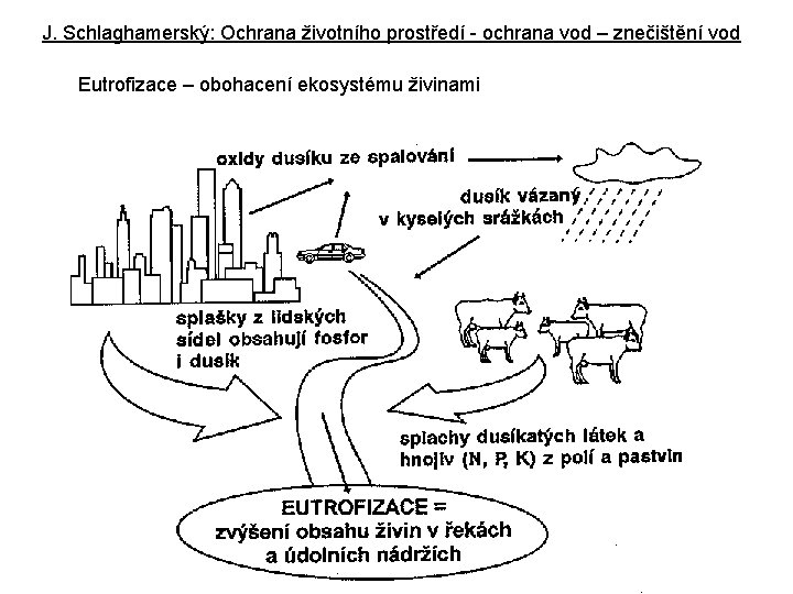 J. Schlaghamerský: Ochrana životního prostředí - ochrana vod – znečištění vod Eutrofizace – obohacení