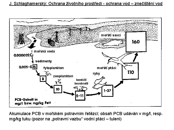 J. Schlaghamerský: Ochrana životního prostředí - ochrana vod – znečištění vod mořští savci mořská