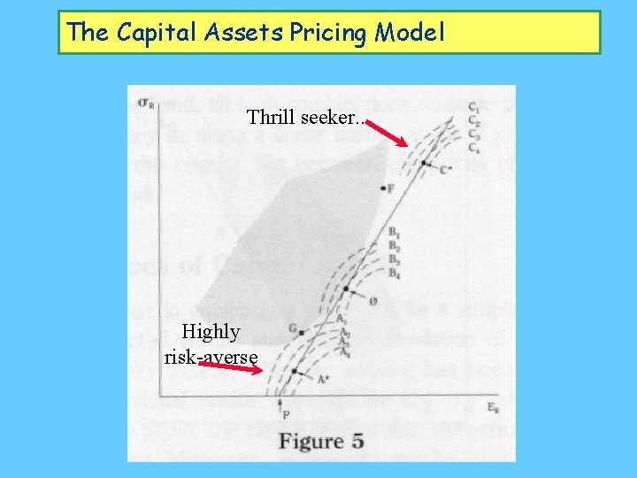 The Capital Assets Pricing Model Thrill seeker. . . Highly risk-averse 