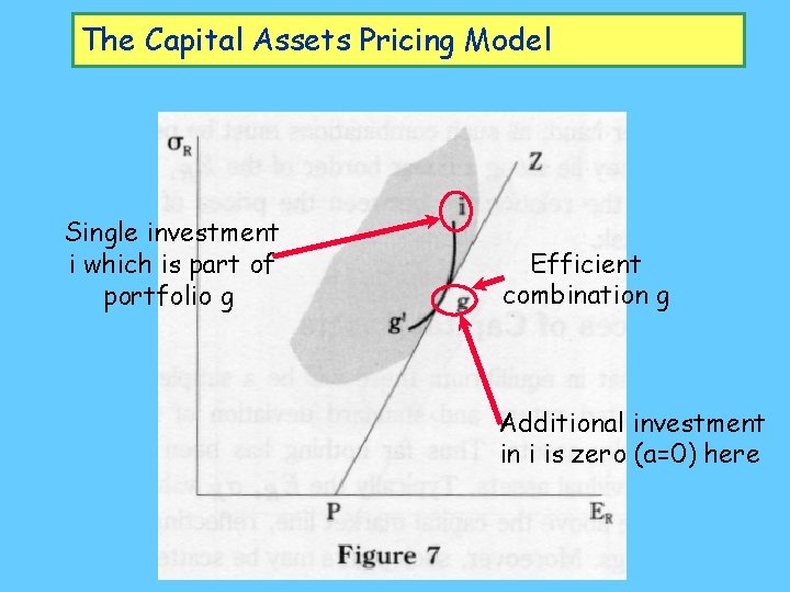 The Capital Assets Pricing Model Single investment i which is part of portfolio g