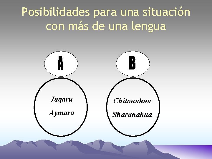 Posibilidades para una situación con más de una lengua Jaqaru Chitonahua Aymara Sharanahua 