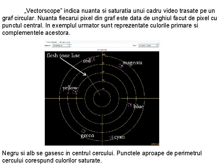 „Vectorscope” indica nuanta si saturatia unui cadru video trasate pe un graf circular. Nuanta