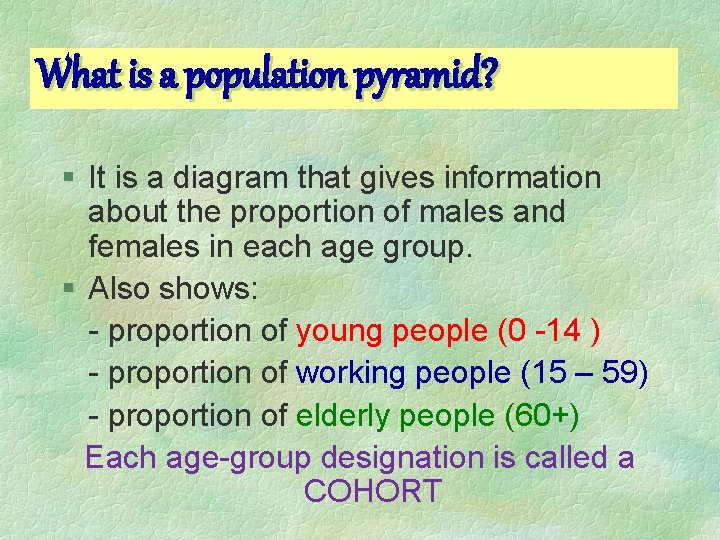 What is a population pyramid? § It is a diagram that gives information about