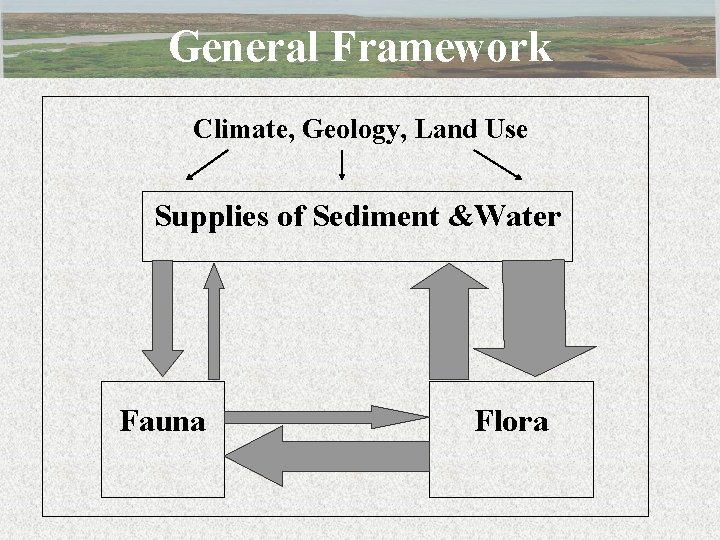  General Framework Climate, Geology, Land Use Supplies of Sediment &Water Fauna Flora 