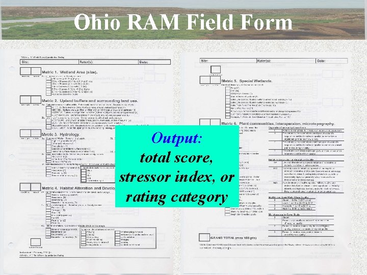 Ohio RAM Field Form Output: total score, stressor index, or rating category 