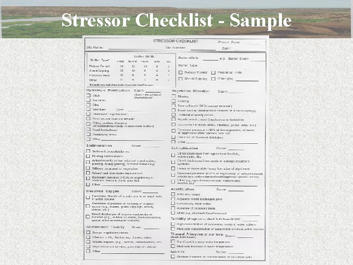 Stressor Checklist - Sample 