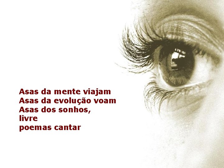 Asas da mente viajam Asas da evolução voam Asas dos sonhos, livre poemas cantar