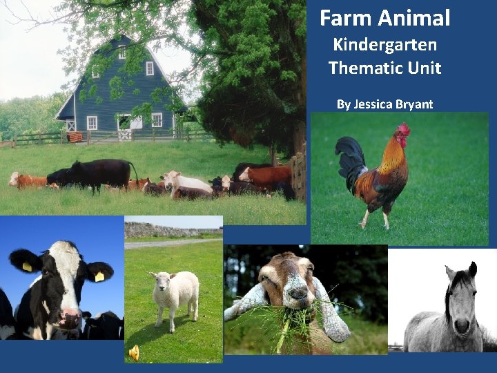 Farm Animal Kindergarten Thematic Unit By Jessica Bryant 