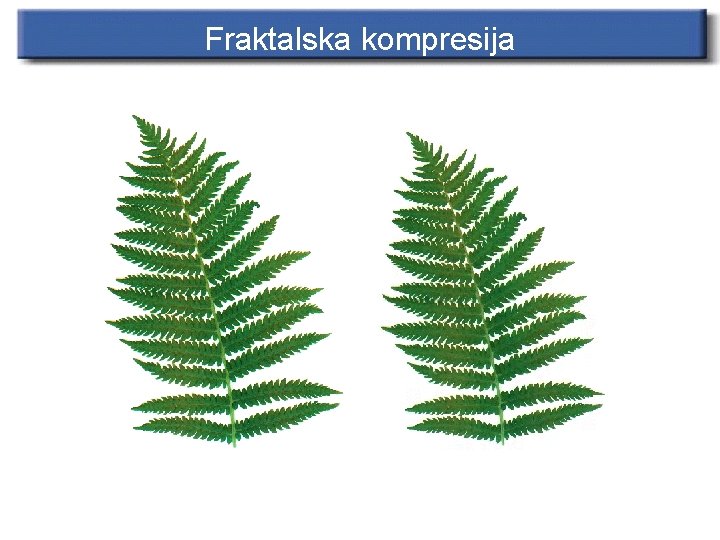 Fraktalska kompresija 