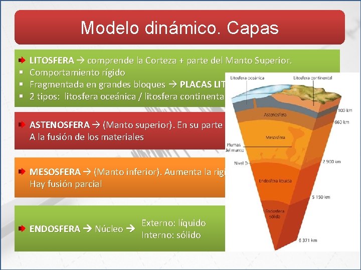 Modelo dinámico. Capas § § § LITOSFERA comprende la Corteza + parte del Manto