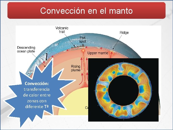 Convección en el manto Convección: transferencia de calor entre zonas con diferente Tª 