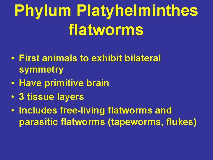 Phylum Platyhelminthes flatworms • First animals to exhibit bilateral symmetry • Have primitive brain