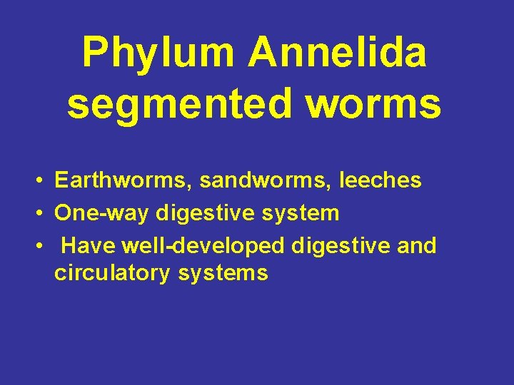Phylum Annelida segmented worms • Earthworms, sandworms, leeches • One-way digestive system • Have