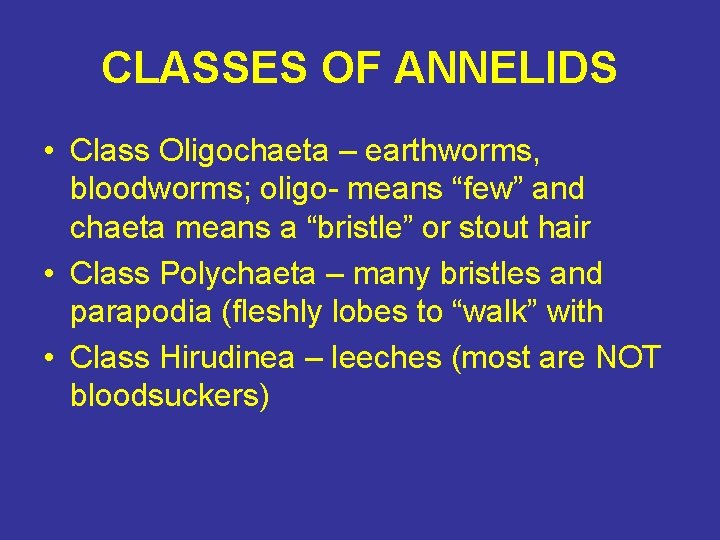 CLASSES OF ANNELIDS • Class Oligochaeta – earthworms, bloodworms; oligo- means “few” and chaeta