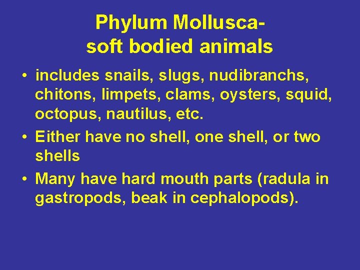 Phylum Molluscasoft bodied animals • includes snails, slugs, nudibranchs, chitons, limpets, clams, oysters, squid,