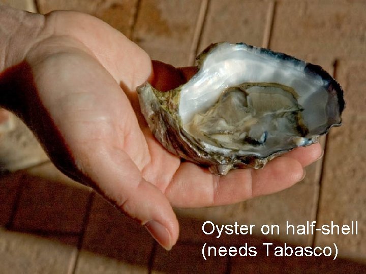 Oyster on half-shell (needs Tabasco) 