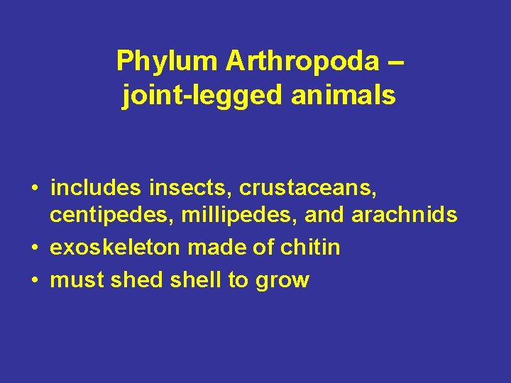 Phylum Arthropoda – joint-legged animals • includes insects, crustaceans, centipedes, millipedes, and arachnids •