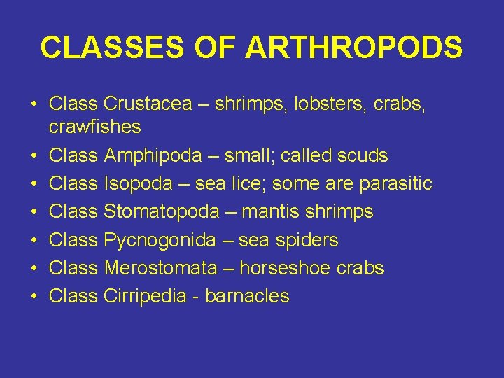 CLASSES OF ARTHROPODS • Class Crustacea – shrimps, lobsters, crabs, crawfishes • Class Amphipoda