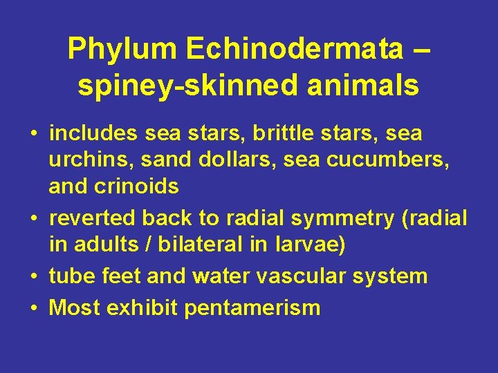 Phylum Echinodermata – spiney-skinned animals • includes sea stars, brittle stars, sea urchins, sand