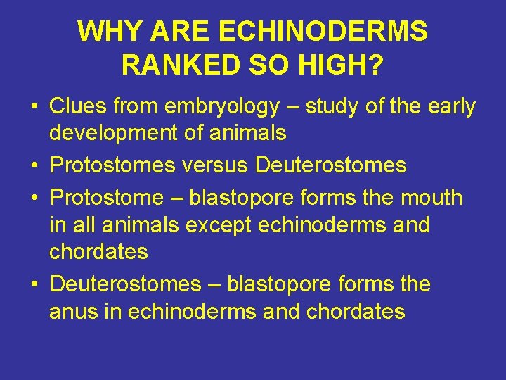 WHY ARE ECHINODERMS RANKED SO HIGH? • Clues from embryology – study of the