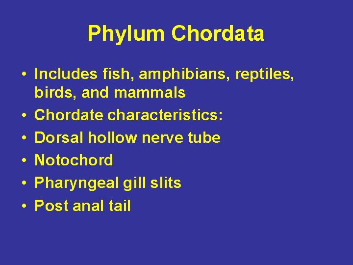 Phylum Chordata • Includes fish, amphibians, reptiles, birds, and mammals • Chordate characteristics: •