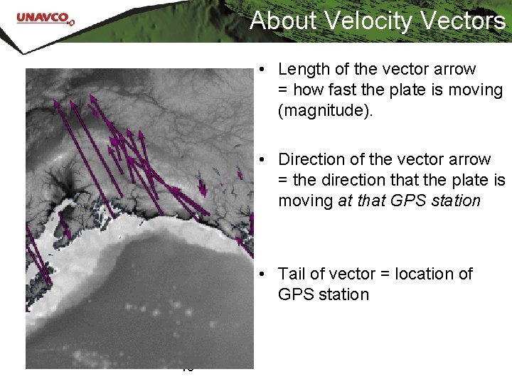 About Velocity Vectors • Length of the vector arrow = how fast the plate