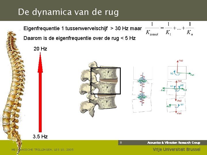 De dynamica van de rug Eigenfrequentie 1 tussenwervelschijf > 30 Hz maar Daarom is