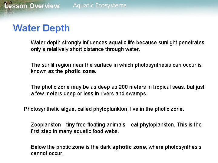 Lesson Overview Aquatic Ecosystems Water Depth Water depth strongly influences aquatic life because sunlight