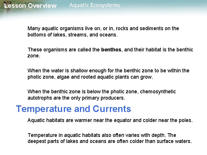 Lesson Overview Aquatic Ecosystems Many aquatic organisms live on, or in, rocks and sediments