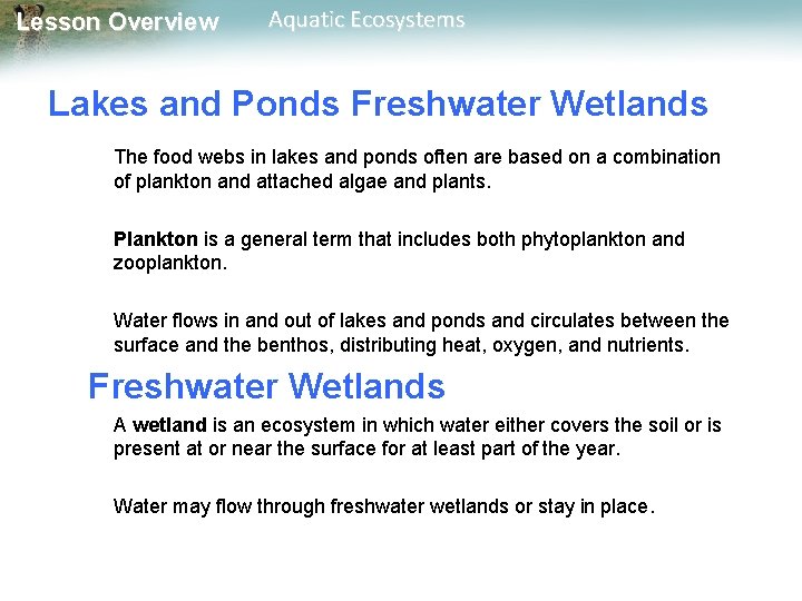 Lesson Overview Aquatic Ecosystems Lakes and Ponds Freshwater Wetlands The food webs in lakes