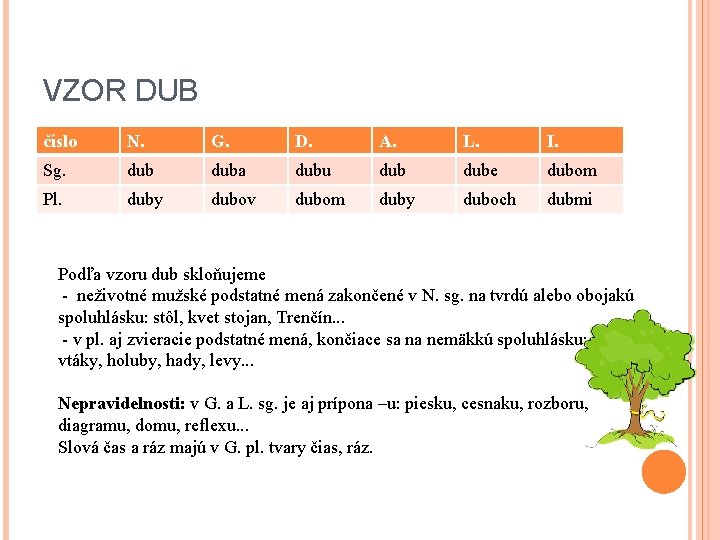 VZOR DUB číslo N. G. D. A. L. I. Sg. duba dubu dube dubom