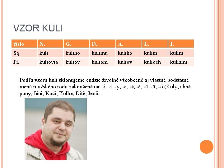 VZOR KULI číslo N. G. D. A. L. I. Sg. kuliho kulimu kuliho kulim VZOR KULI číslo N. G. D. A. L. I. Sg. kuliho kulimu kuliho kulim