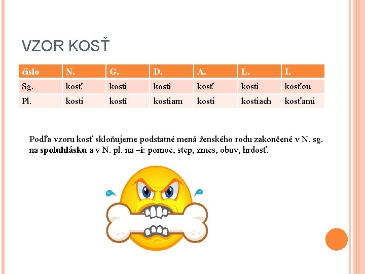 VZOR KOSŤ číslo N. G. D. A. L. I. Sg. kosť kosti kosťou Pl.