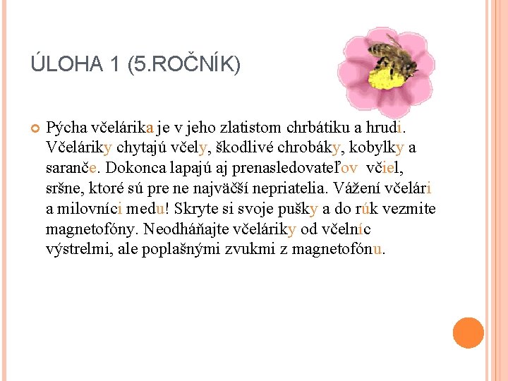 ÚLOHA 1 (5. ROČNÍK) Pýcha včelárika je v jeho zlatistom chrbátiku a hrudi. Včeláriky