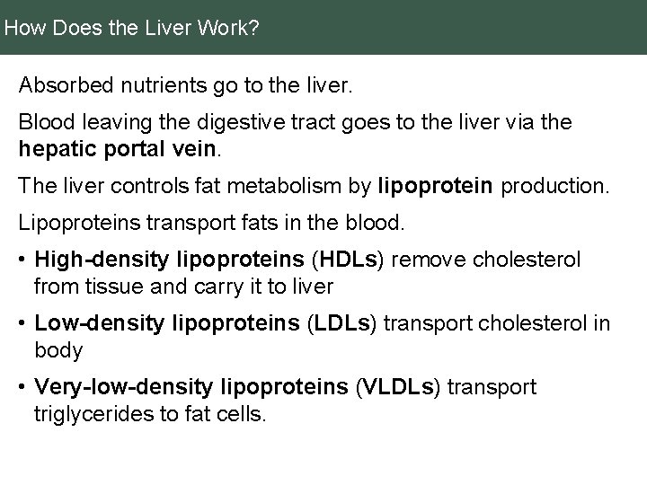 How Does the Liver Work? Absorbed nutrients go to the liver. Blood leaving the