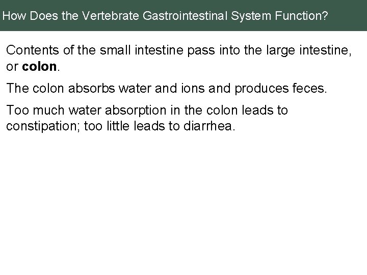 How Does the Vertebrate Gastrointestinal System Function? Contents of the small intestine pass into