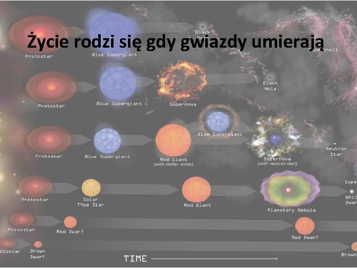 Życie rodzi się gdy gwiazdy umierają 