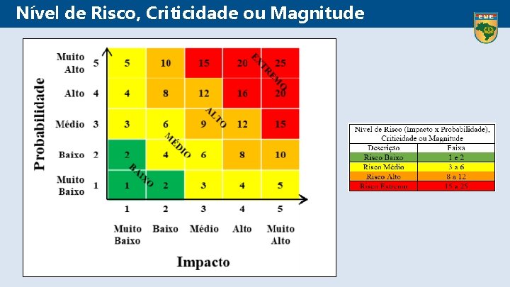 Nível de Risco, Criticidade ou Magnitude 