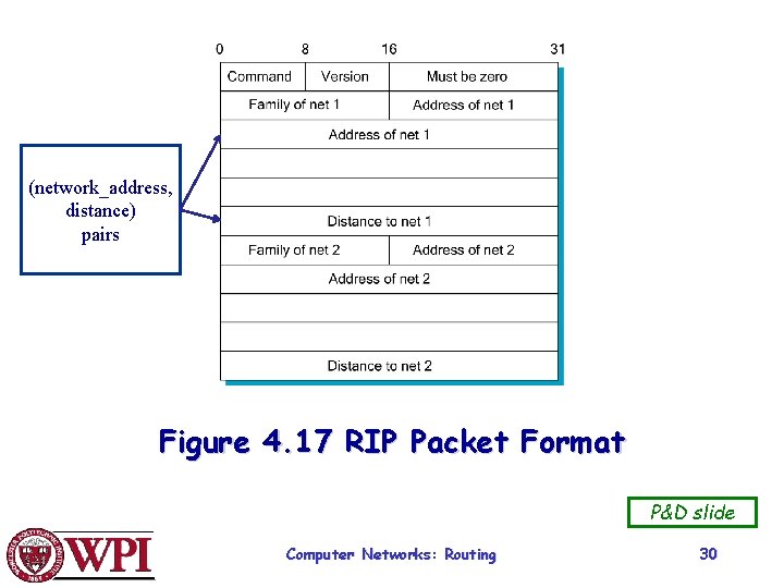 (network_address, distance) pairs Figure 4. 17 RIP Packet Format P&D slide Computer Networks: Routing