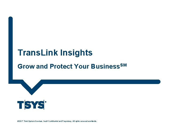 Trans. Link Insights Grow and Protect Your Business. SM © 2017 Total System Services,
