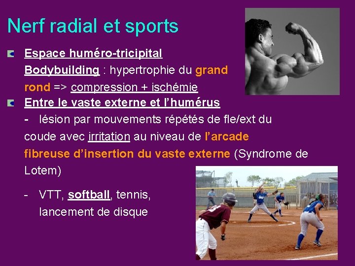 Nerf radial et sports Espace huméro-tricipital Bodybuilding : hypertrophie du grand rond => compression