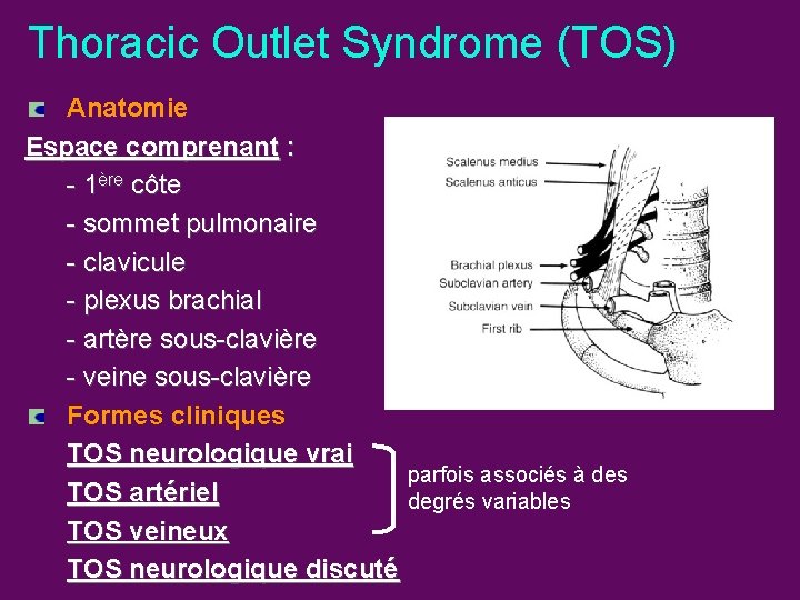 Thoracic Outlet Syndrome (TOS) Anatomie Espace comprenant : - 1ère côte - sommet pulmonaire