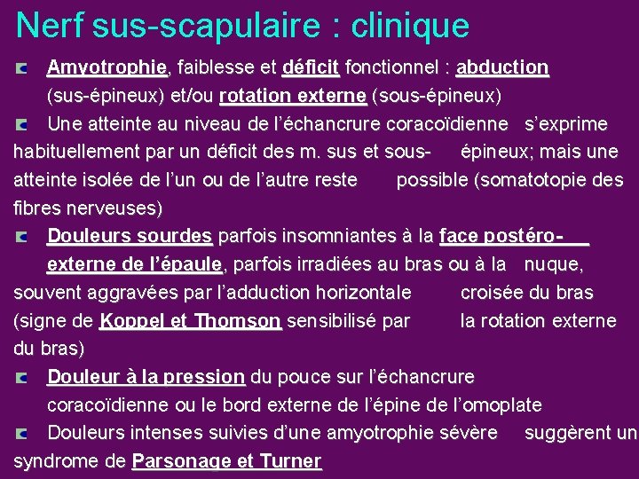 Nerf sus-scapulaire : clinique Amyotrophie, faiblesse et déficit fonctionnel : abduction (sus-épineux) et/ou rotation