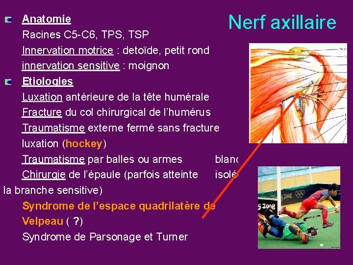 Nerf axillaire Anatomie Racines C 5 -C 6, TPS, TSP Innervation motrice : detoïde,