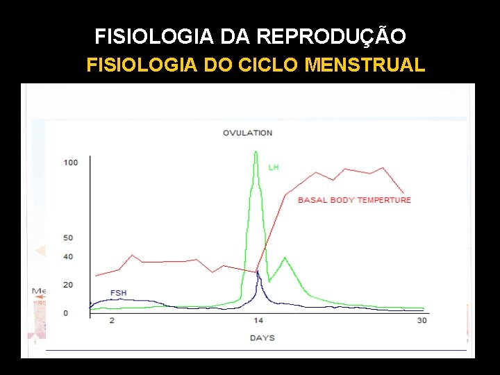 FISIOLOGIA DA REPRODUÇÃO FISIOLOGIA DO CICLO MENSTRUAL 