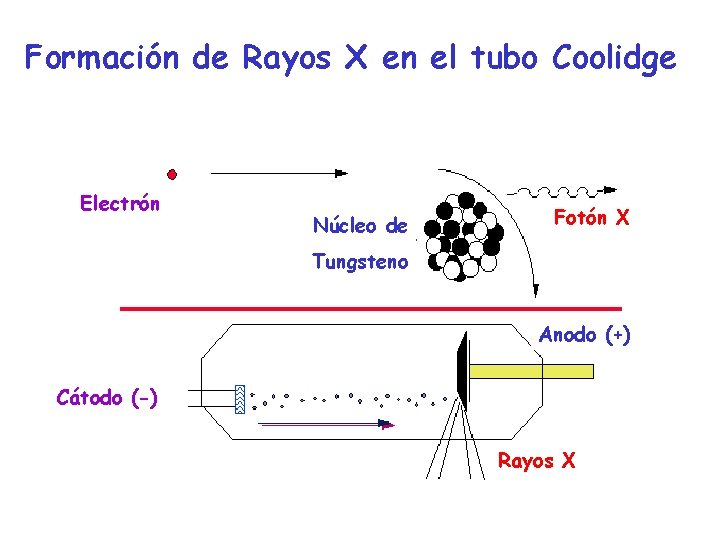 Formación de Rayos X en el tubo Coolidge Electrón Núcleo de Fotón X Tungsteno