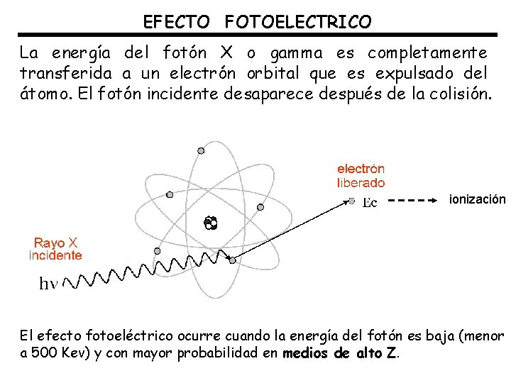 EFECTO FOTOELECTRICO La energía del fotón X o gamma es completamente transferida a un