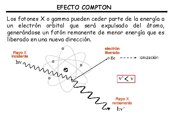 EFECTO COMPTON Los fotones X o gamma pueden ceder parte de la energía a